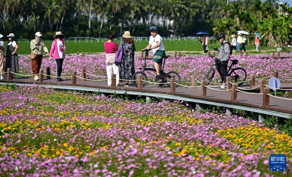 博鳌花开迎客来 博鳌花开迎客来